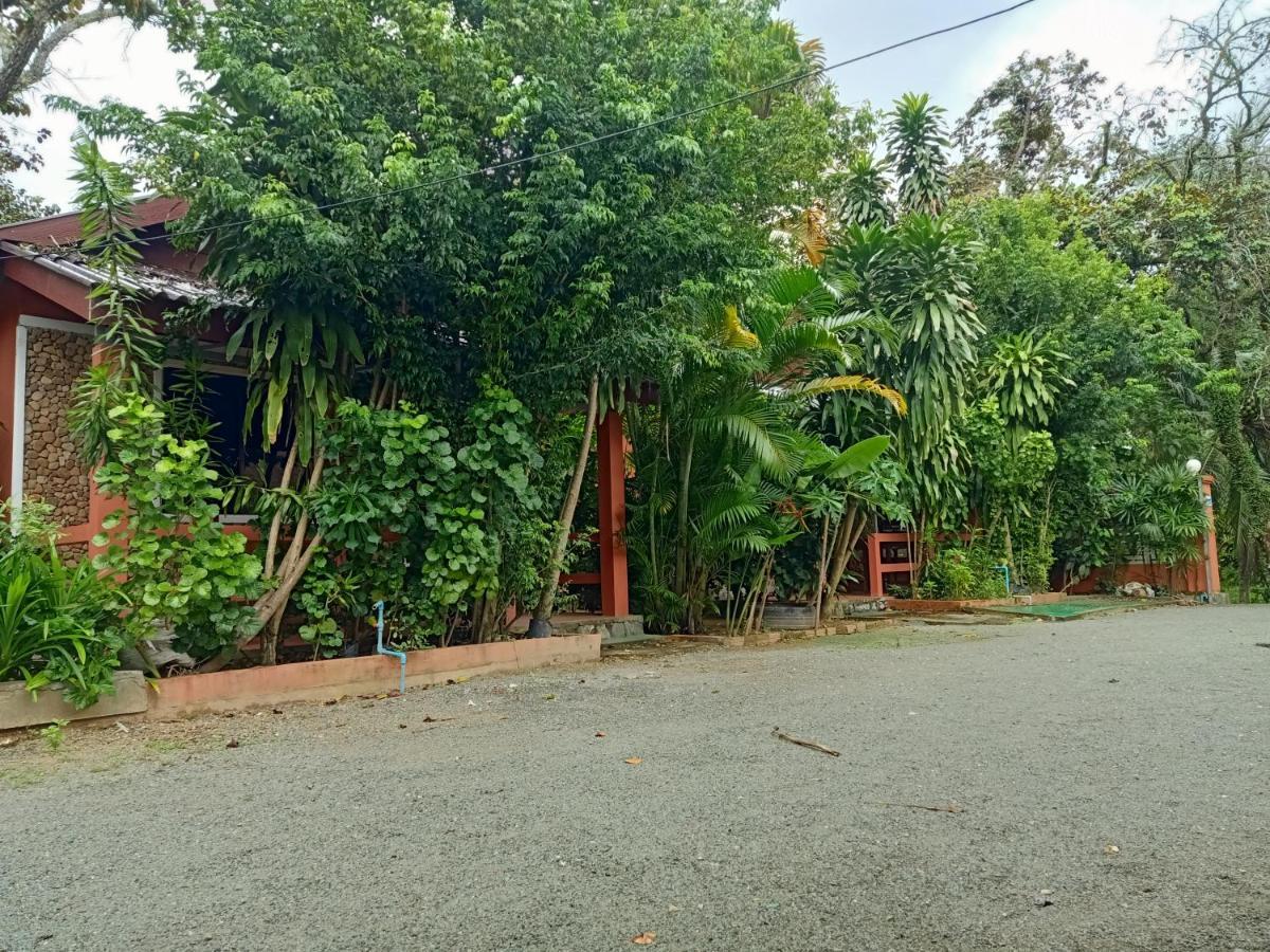 Hotel Pina House